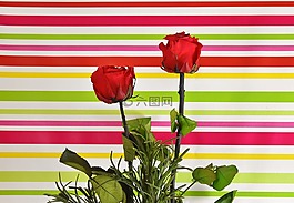 紅玫瑰,豐富多彩,鮮花