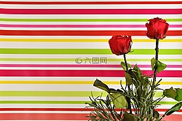 紅玫瑰,豐富多彩,鮮花