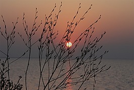 日落,黃昏,天空