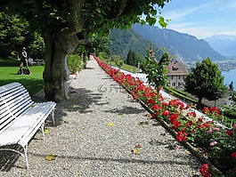 rosenweg,查看,日內(nèi)瓦湖