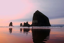 海,海洋,水
