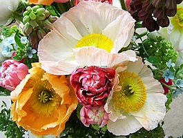 束鮮花,混合的花,切花