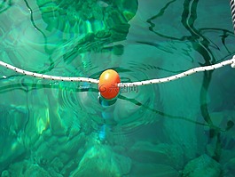 海,水,思考