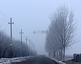 街,冬季,對(duì)稱(chēng)