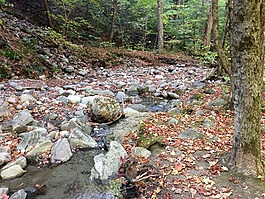 秋天的風(fēng)景,巖,克里克