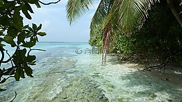 海灘,巖,海