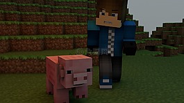 minecraft,視頻游戲,豬