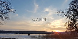 性質(zhì),樹,全景