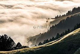 自然,景觀,山