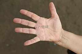 手,人,女性