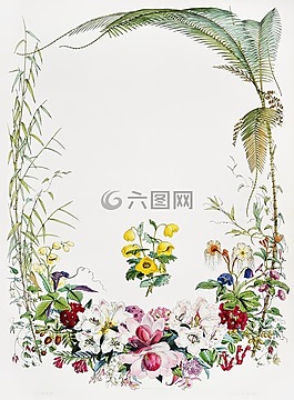 桌面,葉,植物區(qū)系