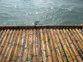 竹,八打雁,流水