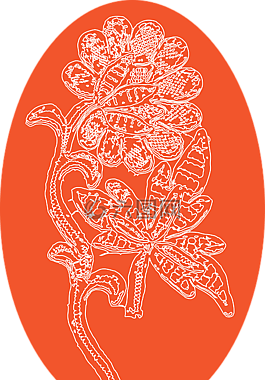 雞蛋,復(fù)活節(jié),花邊