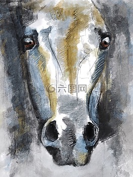 插圖,馬,動物