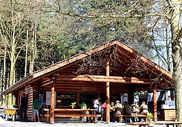 森林,森林小酒馆,餐厅