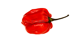 紅辣椒,胡椒,蔬菜