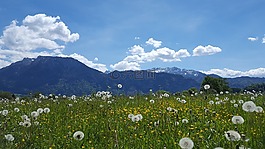 山,蒂羅爾,景觀