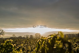 太陽(yáng),光,天空