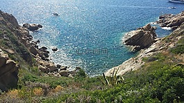 岛百合,托斯卡纳,夏季