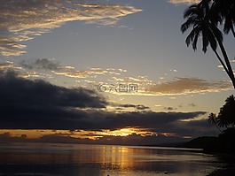 abendstimmung,日落,棕櫚