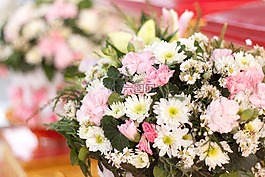 非洲菊鮮花,花,春天