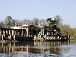 公園,花園,景觀