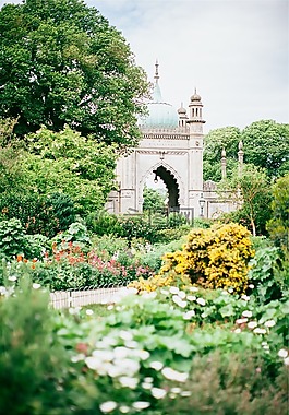 綠色,花園,鮮花