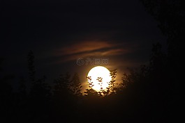 月亮,夜,天空