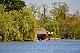 公園,池,水