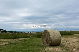 景观,圆顶的天空,性质
