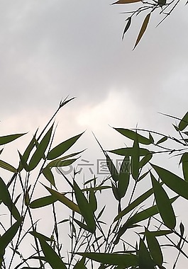風(fēng),性質(zhì),天空