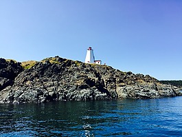 燕尾,大馬南,海洋