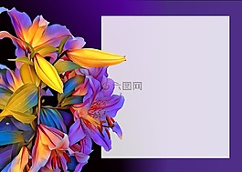 背景,邀請,短