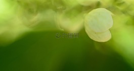 抽象,背景,模式