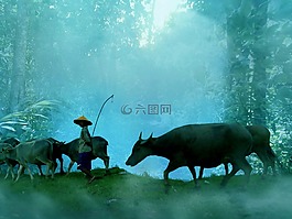 牧羊犬,人,水牛