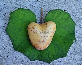 心臟,馬鈴薯,愛情