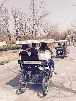 野餐,自行車(chē),家庭