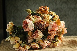 花卉,鮮花,玫瑰