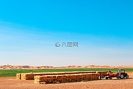 戶外,農業(yè),天空