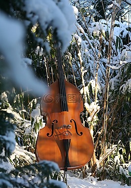 低音提琴,雪,音樂