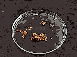 生物學,無脊椎動物,動物園