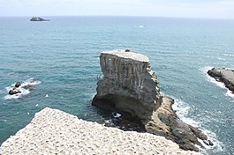 murawai,塘鹅殖民地,景观