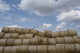 農(nóng)業(yè),秸稈,干草