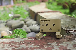 尋找,好玩,danbo
