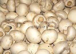 蘑菇,蔬菜,健康