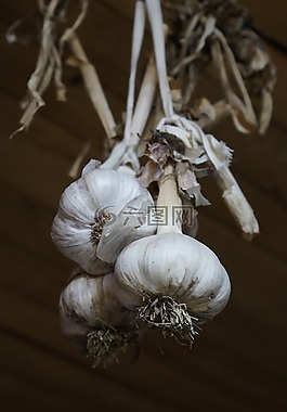 大蒜,蔬菜,食品