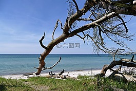 波罗的海,西海滩,fischland-达斯