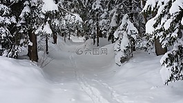 冬天,雪,冷