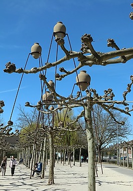 böblingen的,城市,城市景观