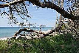 波罗的海,西海滩,fischland-达斯
